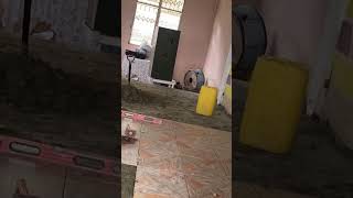 Rustic Tile Magic Laying 40X40Mm Tiles With Precision