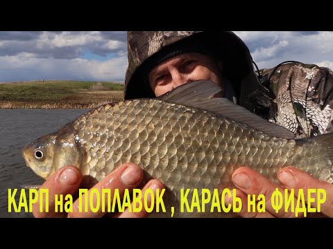 КАРП на ПОПЛАВОК, КАРАСЬ на ФИДЕР в сильный ветер.  Рыбалка по холодной воде!