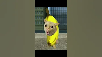 Banana Cat On The Day It Destroyed The Bridge 橋をぶち壊してしまったバナナ猫 Shorts Gmod Bananadcat 