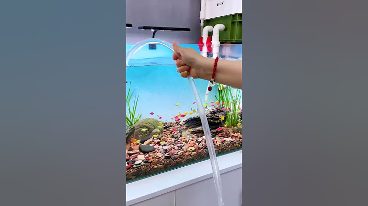 Fish tank cleaning siphon copper joint #trending #fishbowl #aquascape #aquaria #fish #fishaquarium