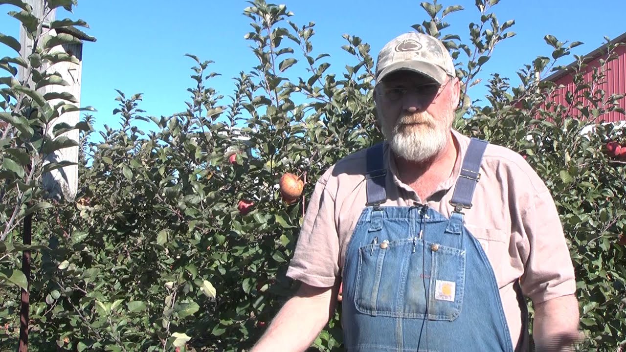 Milburn Orchards Rachel PKG 2