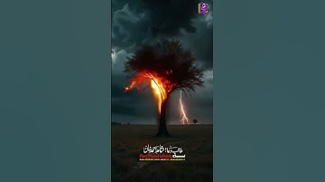 Surah Az-Zalzalah سورة الزلزله #tilawat #alquran #shotrs #viralvideo #islamicproductions