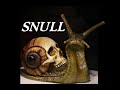 Dungeons and Dragons Lore: Snull