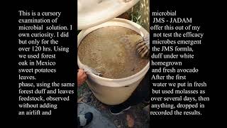 JMS  JADAM MICROBIAL SOLUTION ASSAY Update