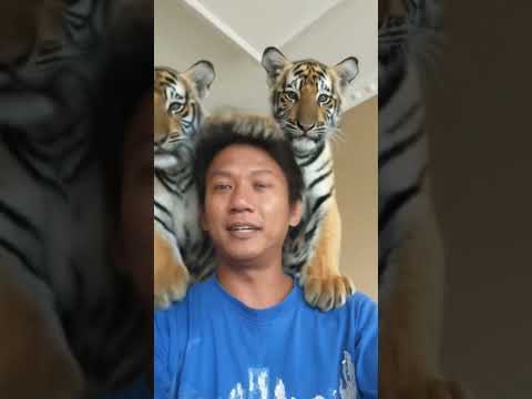 ngapain repottt....#shortvideo #bahagiaitusederhana #youtubeshorts #masukberandayoutube