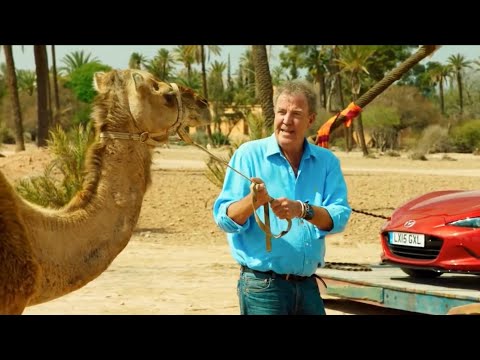 CLARKSON VS ANIMALS thumbnail