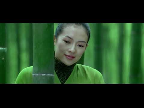 Video: Ziyi Zhang: Elulugu, Karjäär, Isiklik Elu