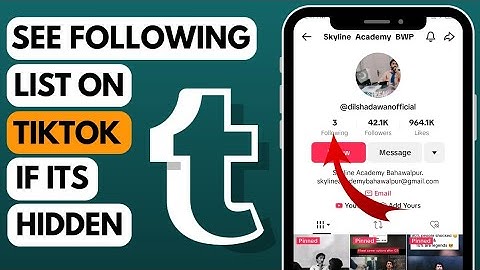 How to See Following List of TikTok Account if it