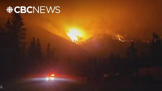 B.C. Wildfire Service at capacity as nearly 140 burn across province