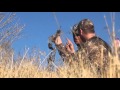 Algar Safaris- Fallow deer - bow hunting