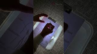Smart tracing method for students ✏️ #easy #students #trick #smart