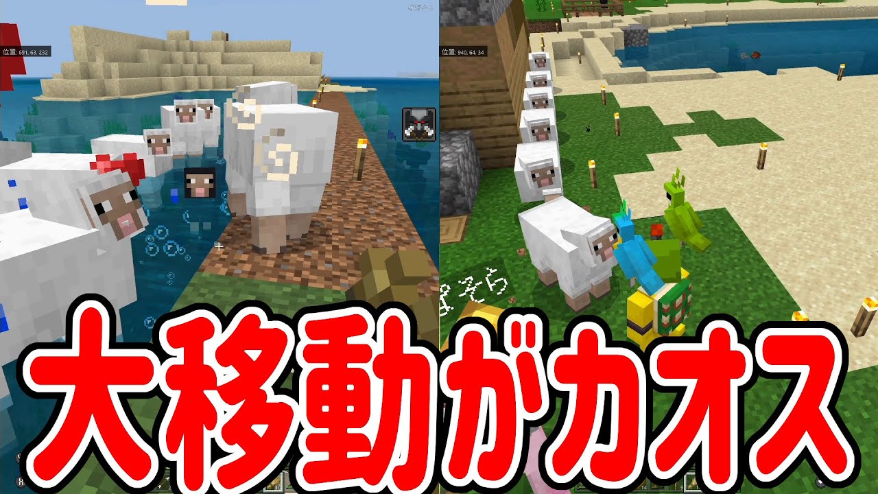 マインクラフト 新しい町に羊を連れて大移動がカオスすぎたw 11 ポポのろクラフト Youtube マインクラフト 新しい町に羊を連れて大移動がカオスすぎたw 11 ポポのろクラフト Youtube