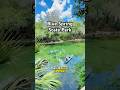 💦Blue Spring State Park🛶 #creativecontentcreator #florida #travelvlog #travelblogger #traveltips