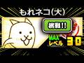 大集合ォォォォォォォォォォ!!!!!!!