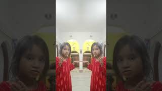 Twin Sisters