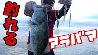 １番釣れると噂のアラバマ使ったら本当に釣れた！！