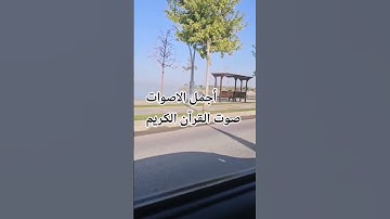 قران كريم بصوت جميل للشيخ اسلام صبحي سورة البقرة 😍🌹🤲 #islamsobhi #quran 🌹😍#المصحف #راحة_نفسية