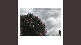 Download Lagu Sook MP3