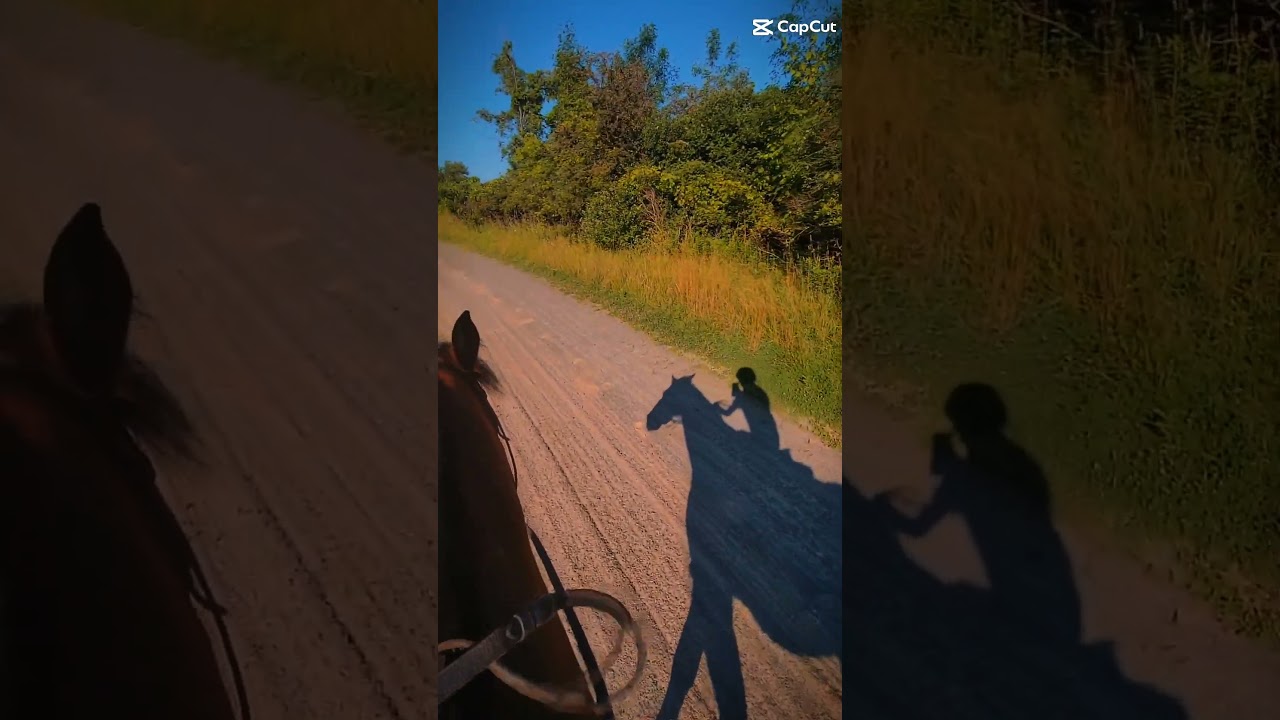 Cantuerinh on track so pretty 🐎 