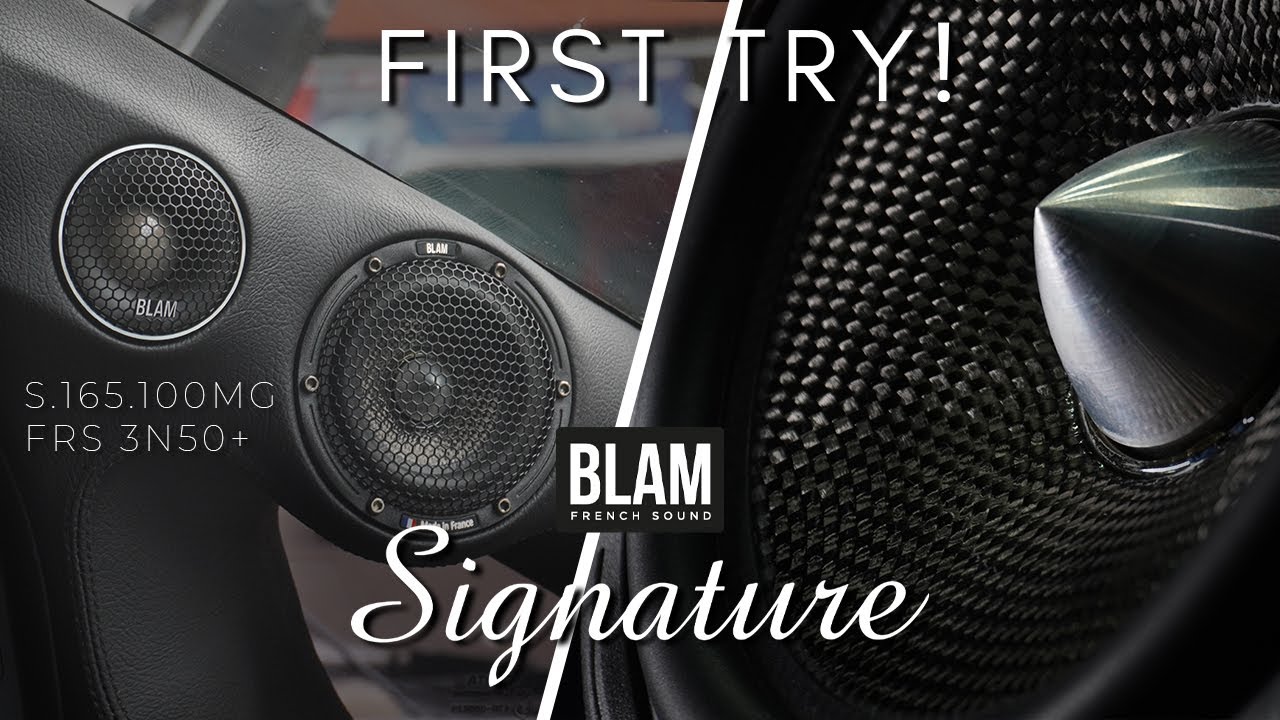 BLAM AUDIO SIGNATURE - THIS IS WHAT 