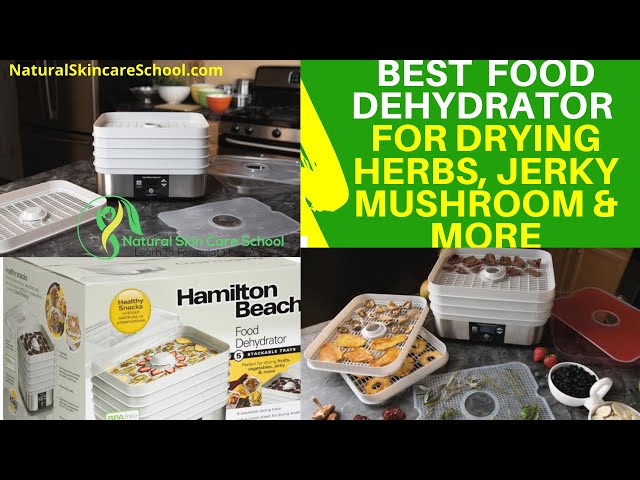 Homemade Dried Fruit Snacks Featuring Hamilton Beach Digital Food Dehydrator  