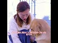 この犬は助けてくれた人に感謝している #pets #cute #funny #shorts