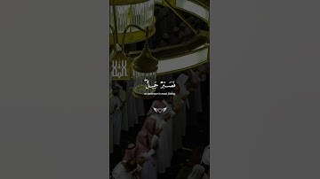 سورة يوسف - محمد هشام