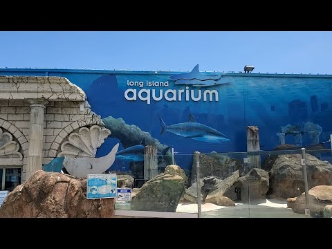 Long Island Aquarium Detailed Tour | Long Island, New York | Part 1