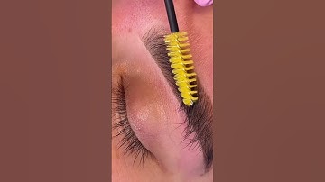 Hybrid tint + Brow Threading 😍 #browlamination #browtint #brows #browexpert #miamibrows #browaholic