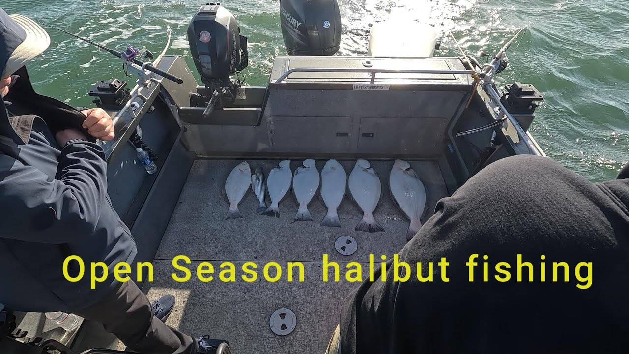 Halibut fishing - YouTube