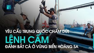 Yêu cầu Trung Quốc chấm dứt lệnh cấm đánh bắt cá ở vùng biển Hoàng Sa | VTC1