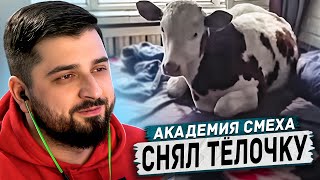 HARD PLAY РЕАКЦИЯ АКАДЕМИЯ СМЕХА ПОПРОБУЙ НЕ ЗАСМЕЯТЬСЯ, 654 СЕКУНД СМЕХА