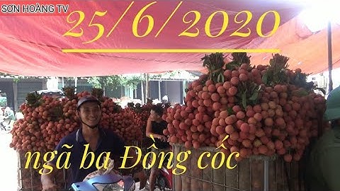Cập Nhật Giá Vải Thiều Lục Ngạn 25/6/2020 tại ngã ba Đồng cốc ( Luc Ngan litchi II