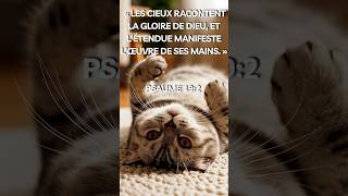 L'œuvre de Ses Mains🕊️ Parole de Vérité #Parole de Dieu #shorts