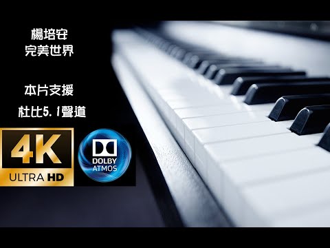 楊培安 完美世界