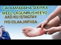 CALAMADAHA SIXIRKA MEL LAGU RUSHEEYO & JILAJINTIISA (CAJIIB