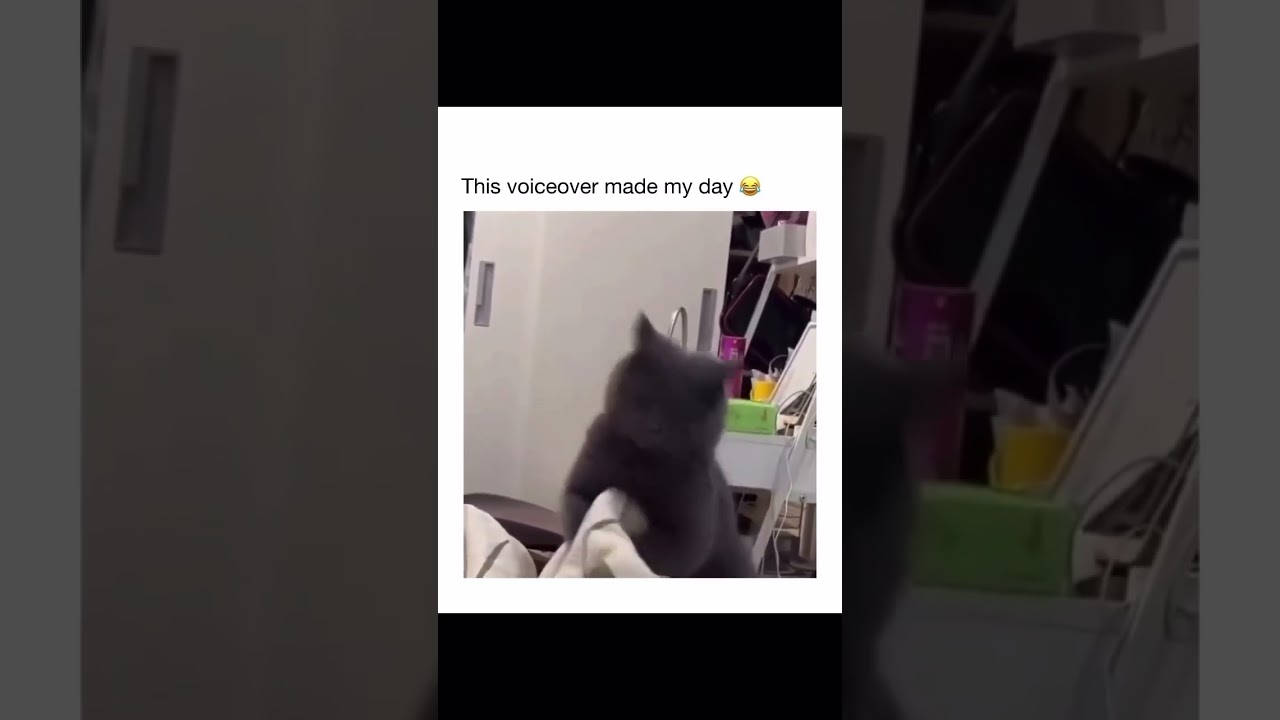 The voiceover was epic😂😂 