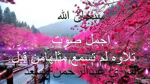 القارئ عبدالرحمن مسعد  تلاوة هادئة عذبة ستاخذك لعالم اخر