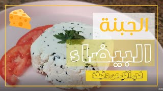 من لتر حليب صنعت جبنة بيضاء كتير سهلة ولذيذة??