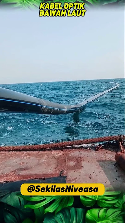 KABEL OPTIK BAWAH LAUT UNTUK INTERNET || Niveasa