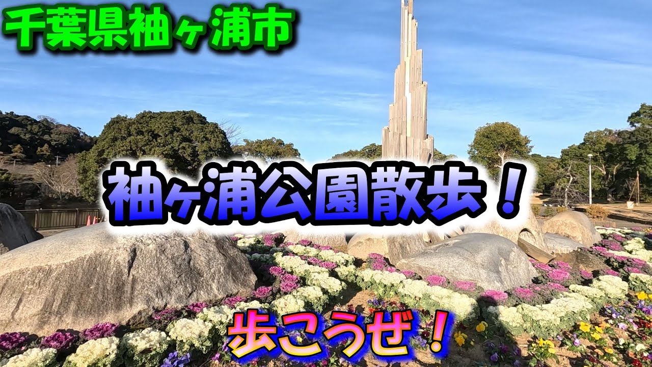 【袖ヶ浦公園】冬の公園を気ままに歩く！水鳥と大きな池が魅力ある公園
