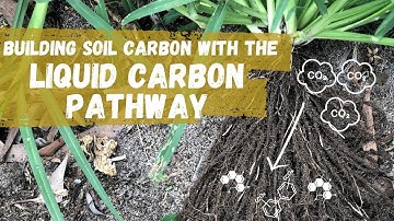 Building Soil Organic Carbon With Dr Christine Jones