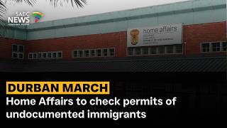 Home Affairs to check permits of undocumented immigrants