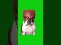 Don't Make This GREEN SCREEN Mistake With Your Daredevil Dog