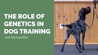The Role of Genetics in Dog Training with Michael Ellis