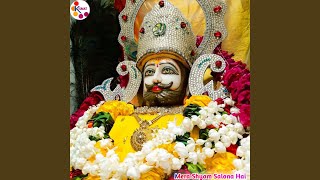 Mera Shyam Salona Hai