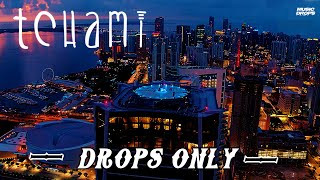 Tchami [Drops Only] @ Elevation Sunrise Liveset 2020 | One Thousand Museum Miami