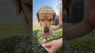 How I Keep My Dogs Cool on Hot Summer Days #dogs