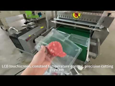 Automatic PLC Touchscreen Cheese Meat Salad Fish Seafood Packaging Vacuum Machine