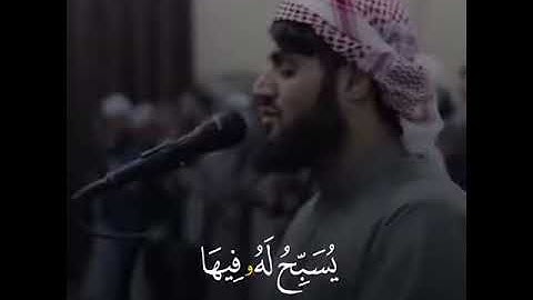 حالات وتس اب تلاوة في غاية الجمال للقارئ رعد الكردي.  ماتيسر من سورة النور
